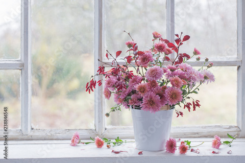 pink chrysanthemums on white windowsill