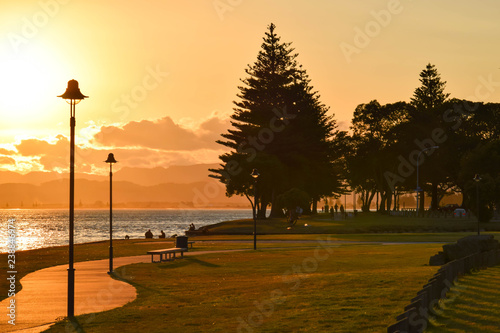 A quiet sunset along the beach path in Gisborne, New Zealand. photo