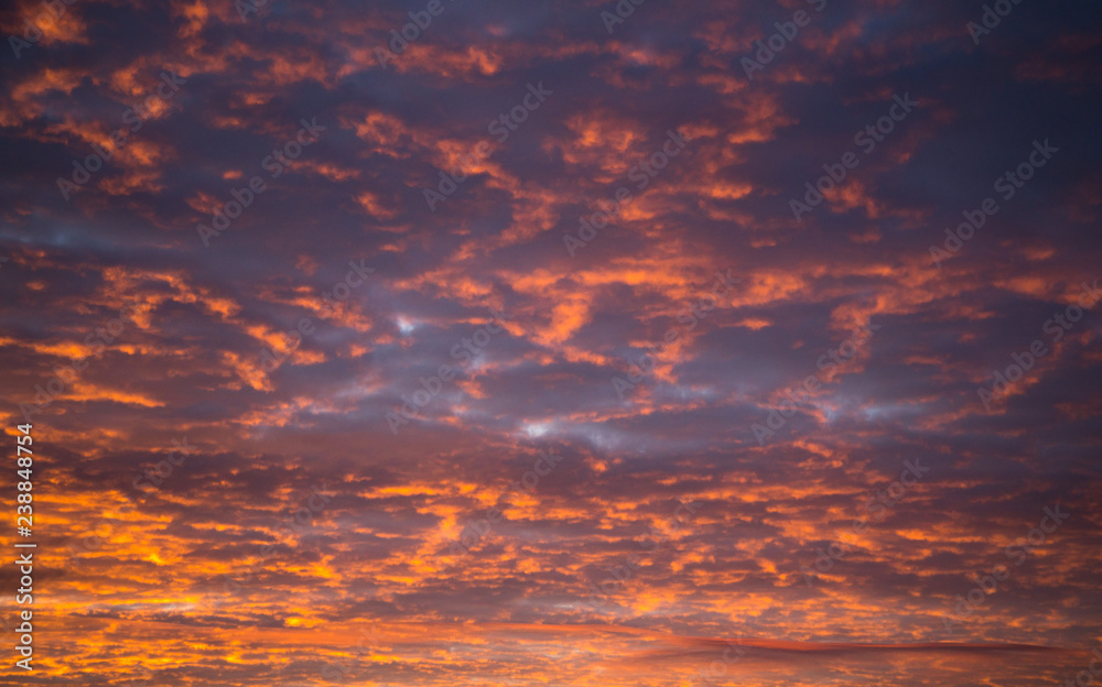Fototapeta premium tragic sky, yellow-pink clouds
