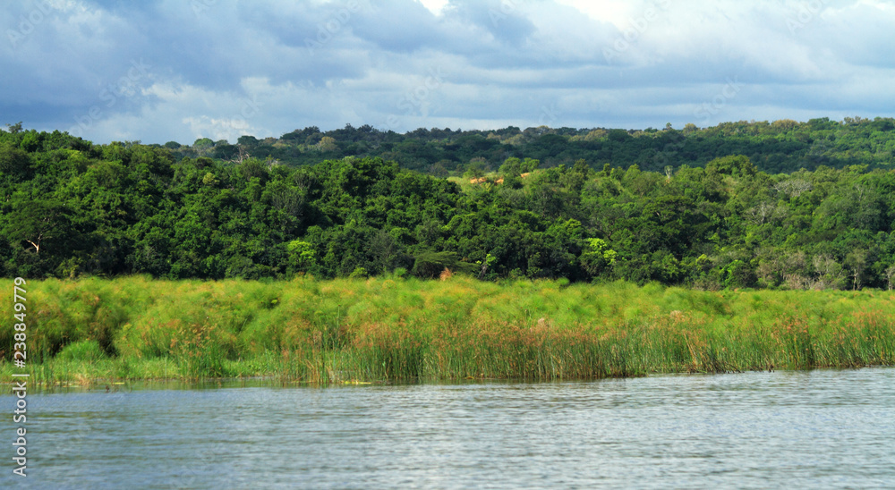 Murchison Falls National Park along the Nile River in Uganda Murchison Falls National Park along the Nile River in Uganda
