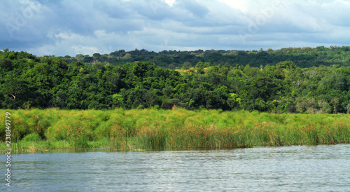 Murchison Falls National Park along the Nile River in Uganda