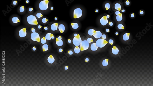 Vector Realistic Blue Petals Falling on Transparent Background.  Spring Romantic Flowers Illustration. Flying Petals. Sakura Spa Design. Blossom Confetti.
