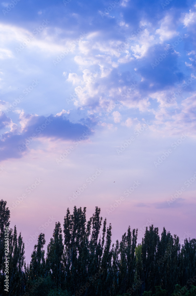 Fototapeta premium Landscape with dramatic light - beautiful golden sunset with saturated sky and clouds.