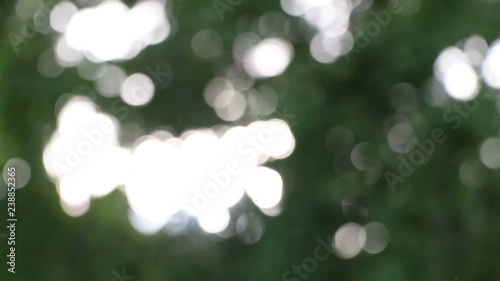  Sun shines through blowing on wind green leaves. Out of focus video footage. green nature background.