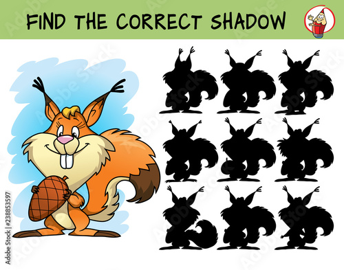 Funny squirrel with a cone. Find the correct shadow. Educational matching game for children. Cartoon vector illustration