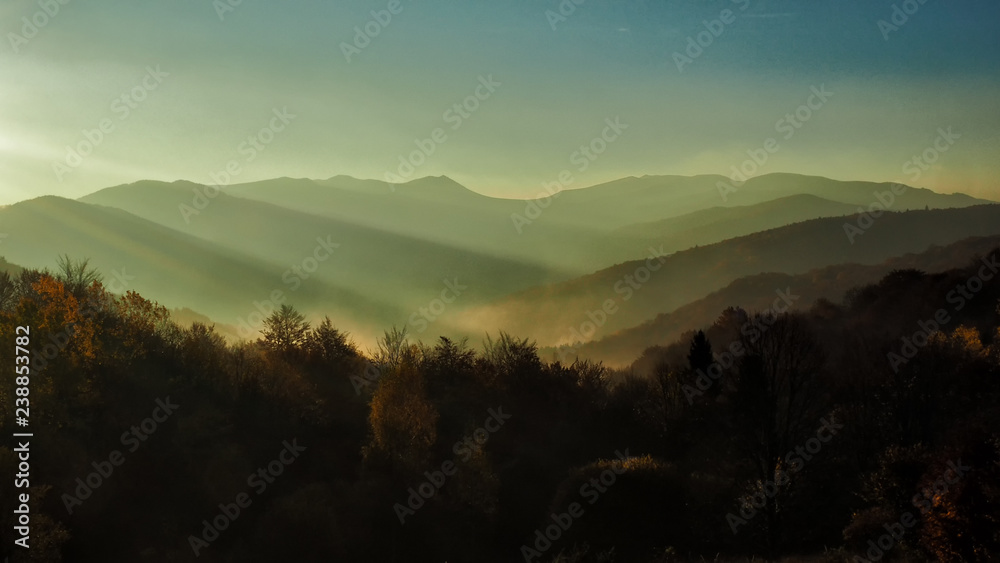 Autumn in the primeval forest. Bieszczady Mountains. Bukowe berdo and Tarnica alpine meadow