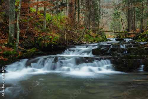 Autumn in the primeval forest. Bieszczady Mountains. Rzeka stream. Bieszczady National Park
