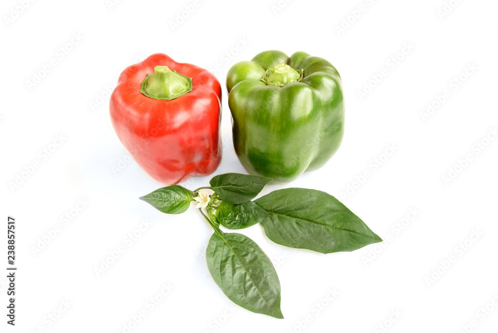 Bell pepper isolated on white background. Bell pepper isolated on white background.