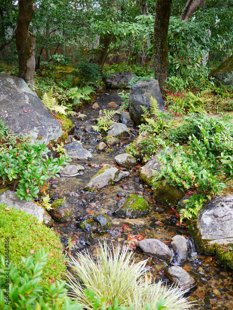 日本庭園の小さな川 Stock Photo Adobe Stock