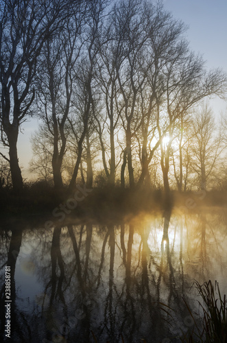 Misty river, that reflects sunrise and silhouettes of bare trees. Fog over water at dawn. Autumn forest in november 