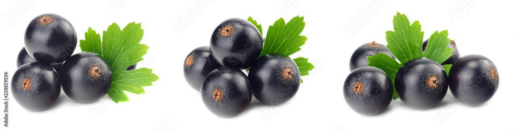 black currant with green leaf isolated on white background. macro black currant with green leaf isolated on white background. macro
