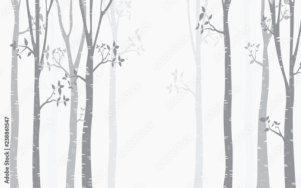Tree Birch Background Tree Birch Background