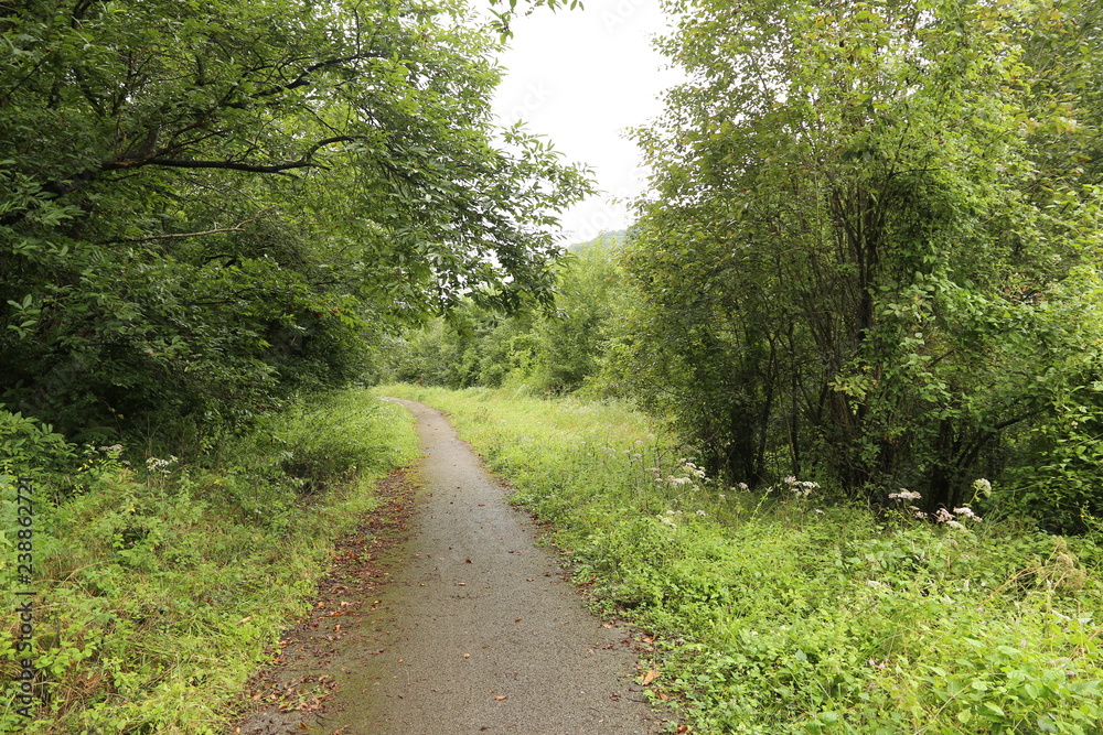 Obraz premium Cuenca Minera de Mieres