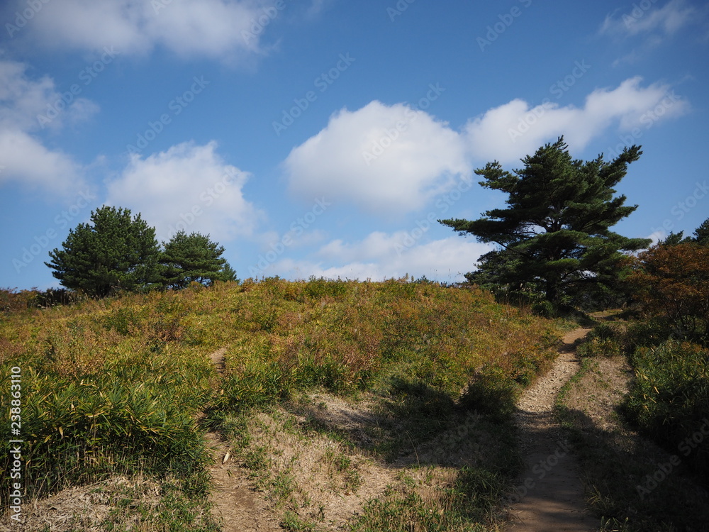 登山道