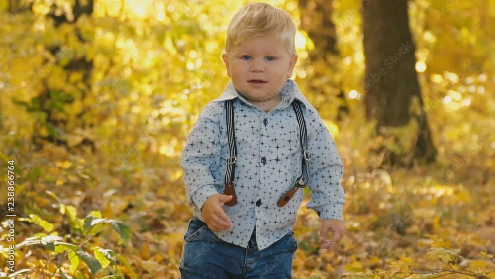 little boy in the autumn forest little boy in the autumn forest