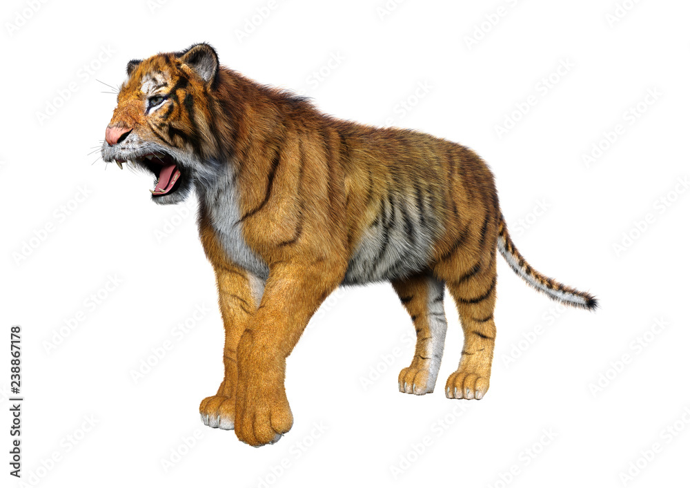Obraz premium 3D Rendering Big Cat Tiger on White