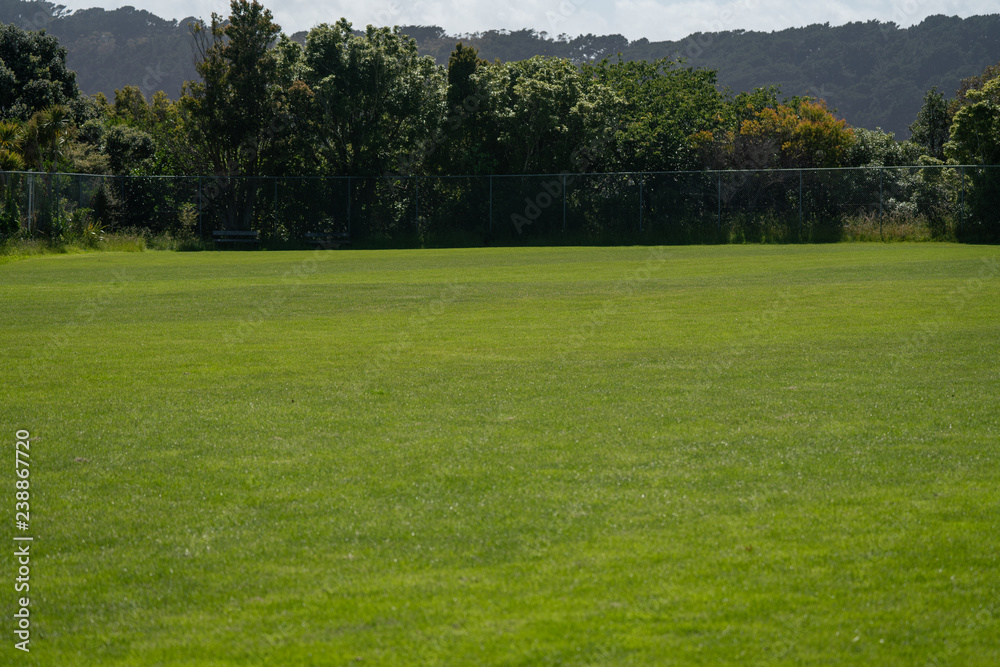 Sports field in a park