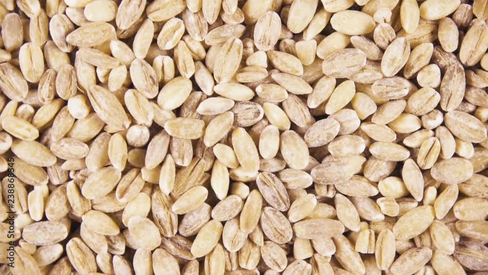 Background of rotating clockwise barley untreated grain cereals top view Background of rotating clockwise barley untreated grain cereals top view