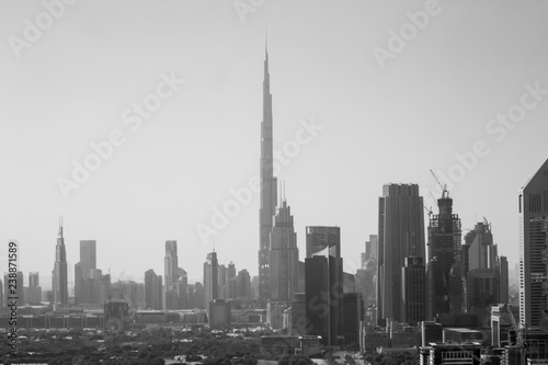 Dubai city view © Евгений Округин