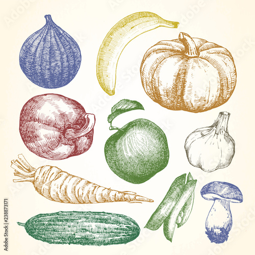 Hand-drawn illustration of vegetables and fruits, vector