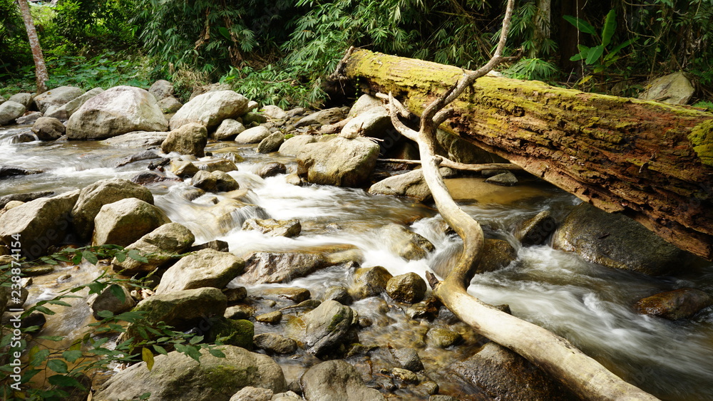 Obraz premium stream, water falls in nature 