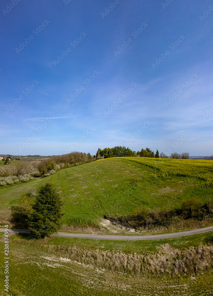 Blossoming young plum garden and rapeseed field, top view, Span of the drone over the plum blooming, France