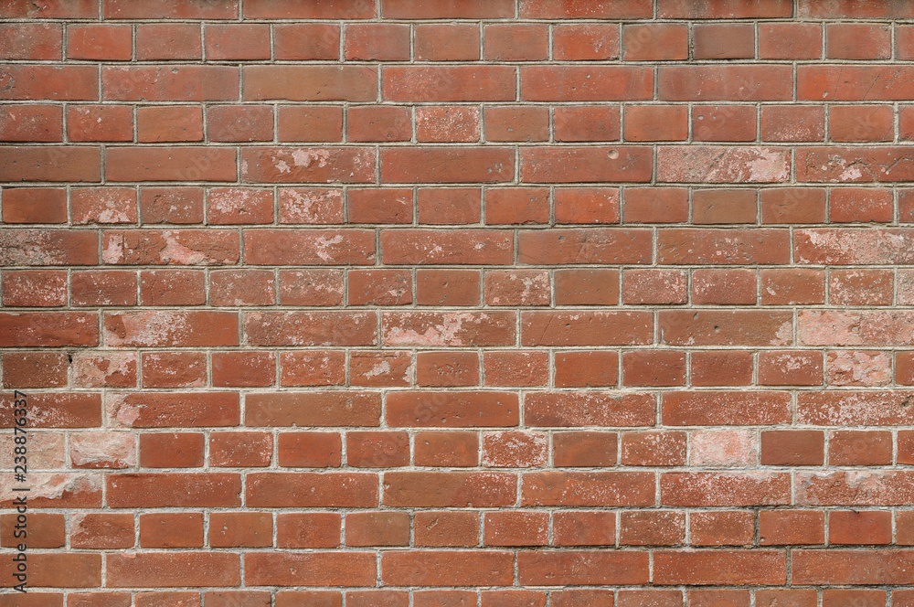 Obraz premium レンガ壁