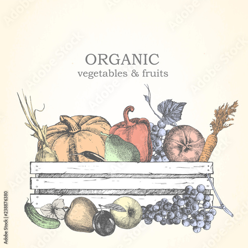 Hand-drawn illustration of vegetables and fruits in box. Vector