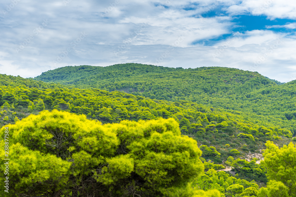 Greece, Zakynthos, Mountainous nature landscape covered by shiny green pine trees