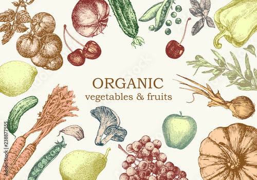 Hand-drawn illustration of vegetables and fruits. Vector