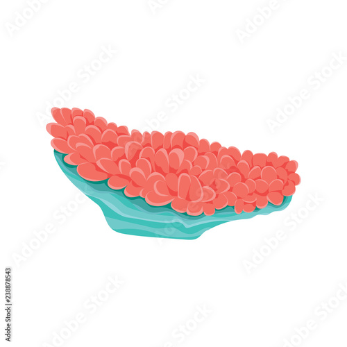 isolated underwater sea living coral