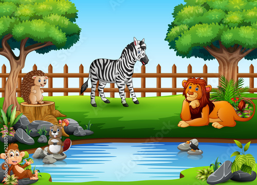 Photography Wild animals playing on the edge of a beautiful small pond