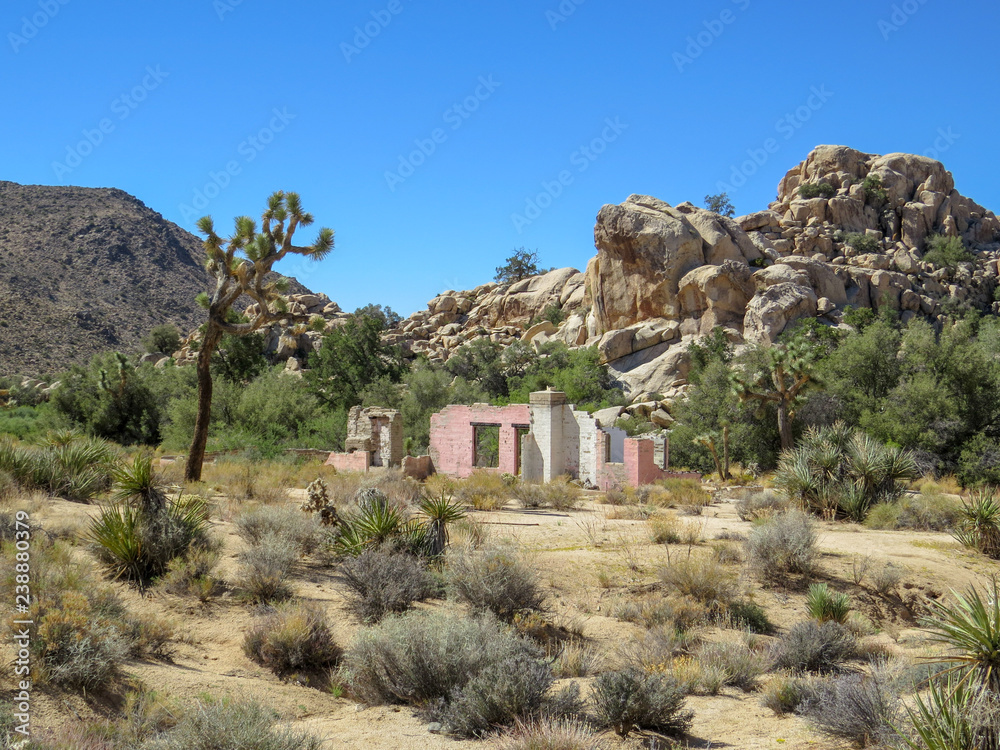 Ruins of an old pink farmhouse in Joshua Tree Ruins of an old pink farmhouse in Joshua Tree