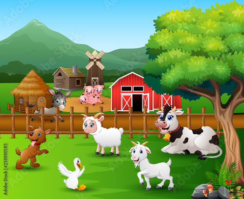 Farm scenes with different animals in the farmyard
