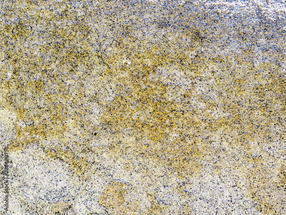 Yellow and white lichen on stone background texture Yellow and white lichen on stone background texture