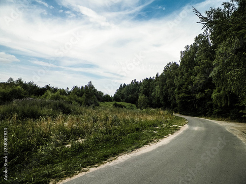 Forest road in Wiezyca, Kashubian Region, Poland.