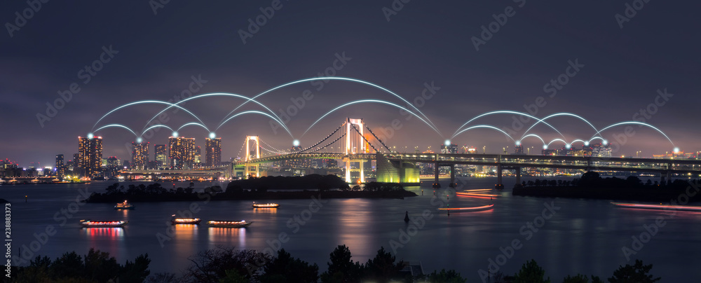 Obraz premium Smart network and connection city