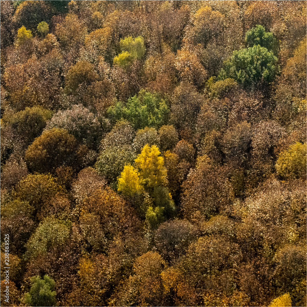 vue aérienne de la forêt à l'automne à Lainville-en-Vexin en France