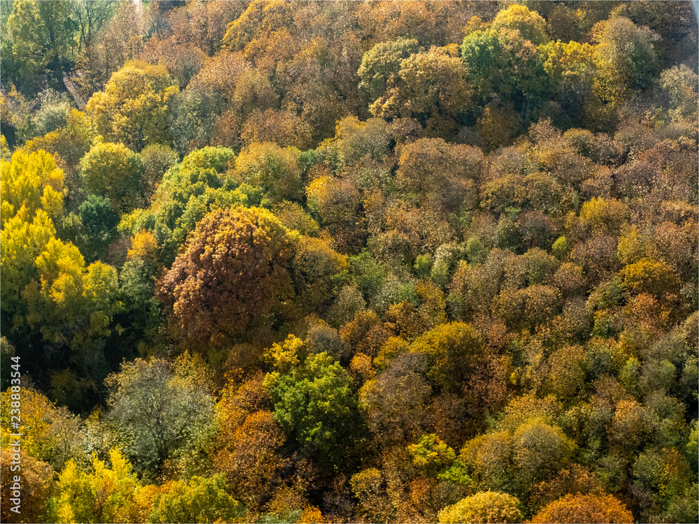 vue aérienne de la forêt à l'automne à Lainville-en-Vexin en France vue aérienne de la forêt à l'automne à Lainville-en-Vexin en France