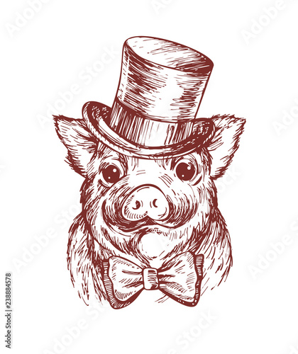 Hand draw a portrait of a little pig wearing a top hat and a the bow tie. Vector sketch illustration.