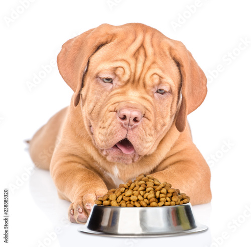 Puppy with bowl of dry dog food. isolated on white background