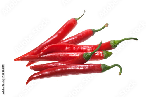 pepper isolated on white background