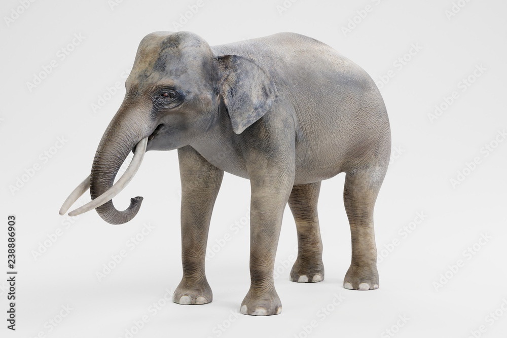 Obraz premium Realistic 3D Render of Asian Elephant - Male