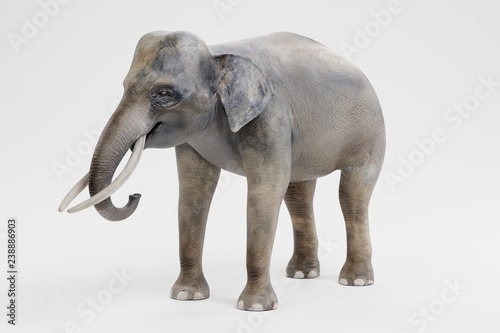 Realistic 3D Render of Asian Elephant - Male