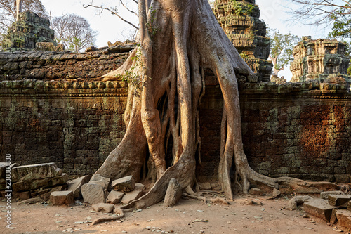 Ta Prohm historic site in Cambodia.