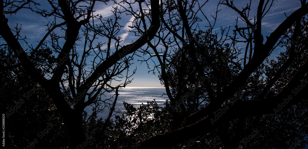 Naklejka premium sea view