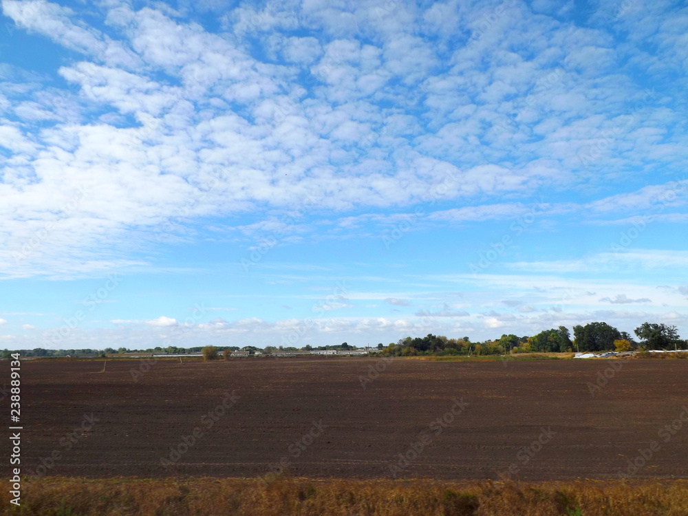 field and blue sky