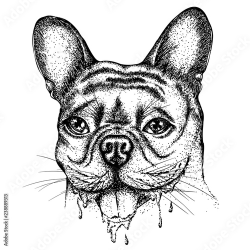 Portrait of a bulldog with dripping drool. Vector hand drawn illustration. Monochrome drawing isolated on white background
