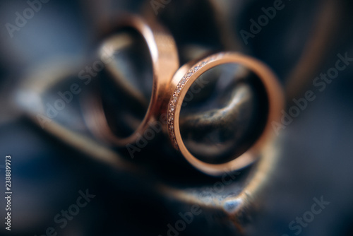 wedding rings close up. macro photography