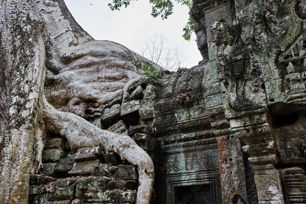 Ta Prohm historic site in Cambodia. Ta Prohm historic site in Cambodia.